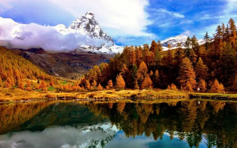 自动化工业智慧工厂